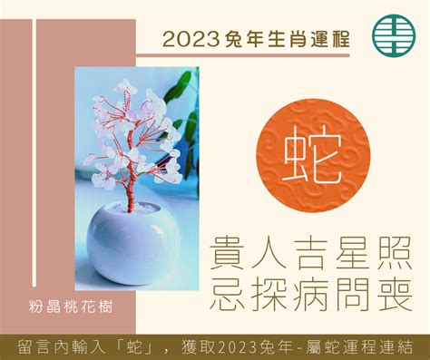 2023 屬蛇 禁忌|【2023屬蛇忌顏色】2023屬蛇禁忌顏色搶先看！避開這幾個色，。